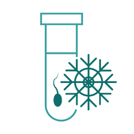 การแช่แข็งอสุจิหรือการเก็บรักษาอสุจิ(Sperm Freezing)