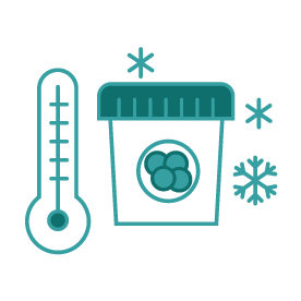 การแช่แข็งเก็บรักษาเซลล์ไข่ (Egg Freezing)