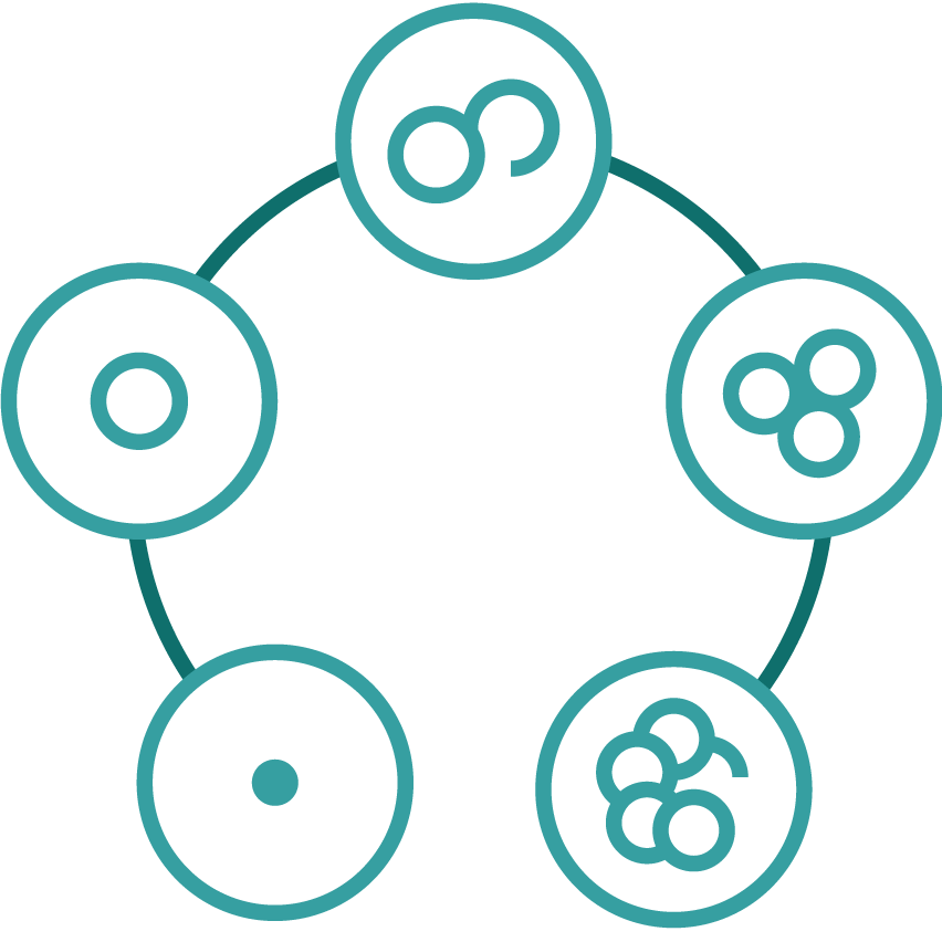 การเลี้ยงตัวอ่อนภายหลังการปฏิสนธิภายนอกร่างกาย