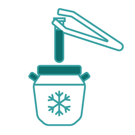 การเก็บรักษาตัวอ่อนโดยวิธีการแช่แข็ง