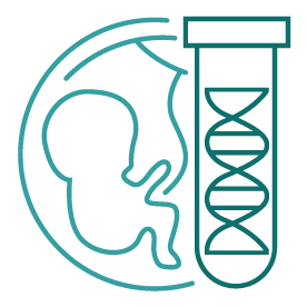 การคัดเลือกพันธุกรรมก่อนการฝังตัวของตัวอ่อน (PGT)